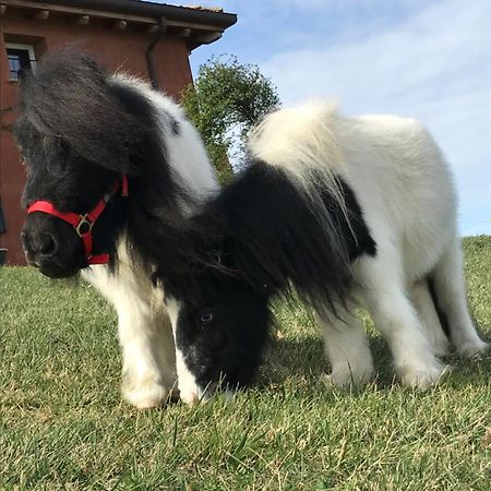 B&B Ca Bianca Dell'Abbadessa San Lazzaro di Savena Eksteriør billede