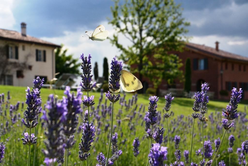 B&B Ca Bianca Dell'Abbadessa San Lazzaro di Savena Eksteriør billede