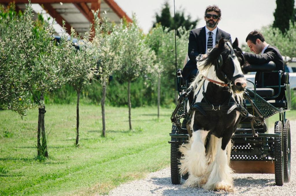 B&B Ca Bianca Dell'Abbadessa San Lazzaro di Savena Eksteriør billede